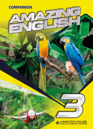Amazing English 3 Companion